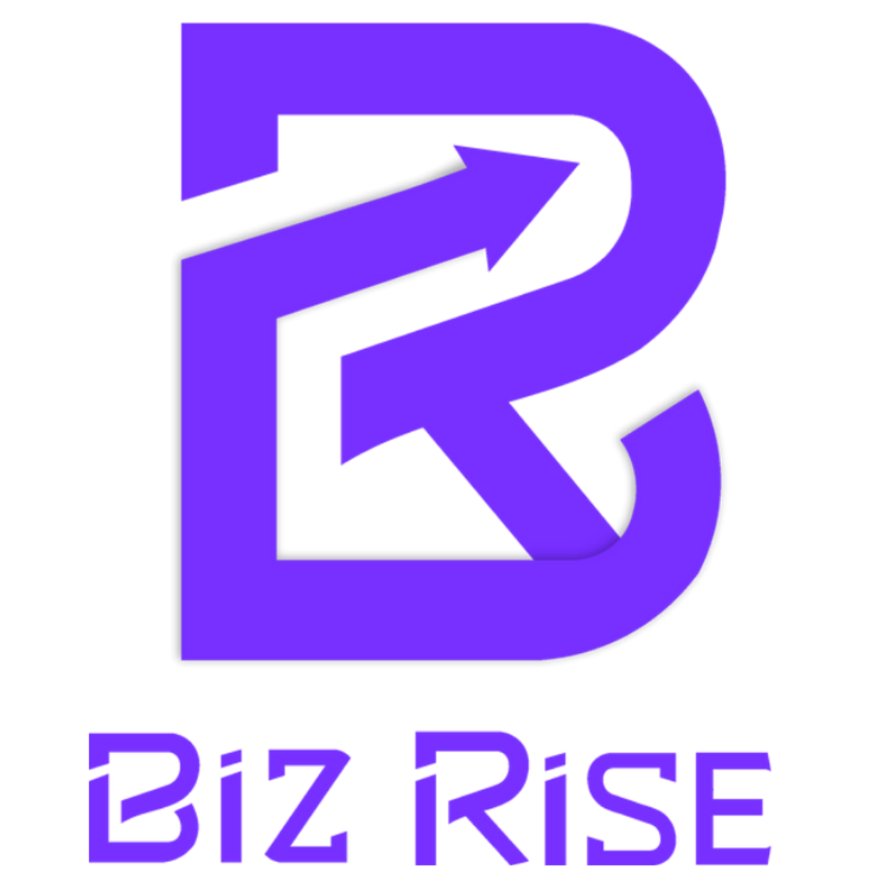 BizRise creative studio logo